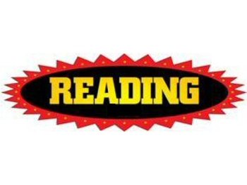 Reading Festival picture