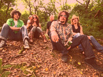 The Redlands Palomino Company artist photo