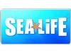 Birmingham National SEA LIFE Centre photo