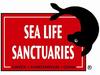 Hunstanton SEA LIFE Sanctuary photo