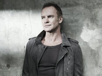 Sting artist photo