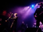The Psychedelic Furs artist photo