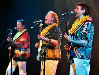 The Beach Boys Inc. artist photo