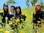 Dum Dum Girls artist photo