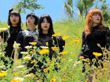 Dum Dum Girls artist photo