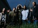 Jurassic 5 event picture