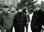 The Coral artist photo