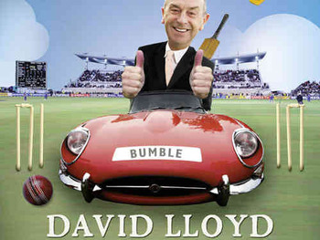 David 'Bumble' Lloyd artist photo