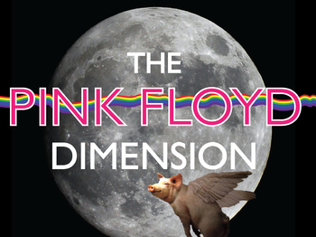 The Pink Floyd Dimension artist photo