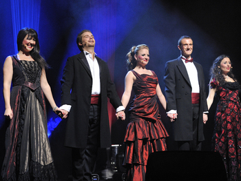 Mad About the Musicals artist photo