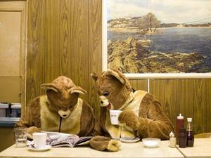 The 2 Bears artist photo
