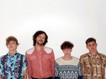 Wild Palms artist photo