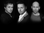 911 artist photo