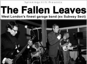 The Fallen Leaves artist photo