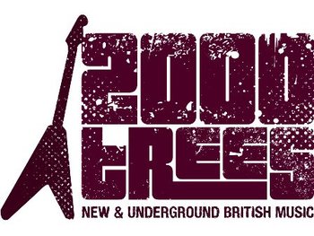 2000trees Festival picture