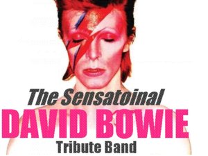The Sensational David Bowie Tribute Band artist photo