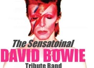 The Sensational David Bowie Tribute Band artist photo