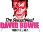 The Sensational David Bowie Tribute Band artist photo