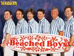 The Beached Boys artist photo