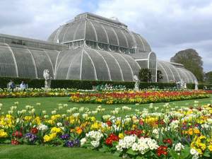 Kew Gardens artist photo