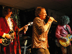 The Ronnies artist photo
