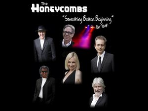 The Honeycombs artist photo