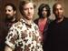 The Spin Doctors, Dodgy event picture