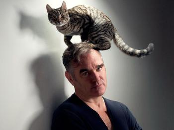 Morrissey artist photo