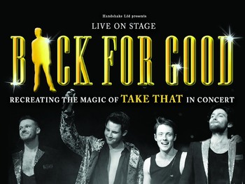 Back For Good artist photo