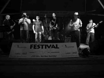The Simmertones artist photo