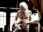 John Mayall artist photo