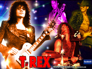 TooREX artist photo