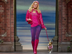 Legally Blonde The Musical (Touring) artist photo
