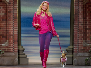 Legally Blonde The Musical (Touring) artist photo