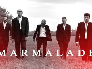 Marmalade artist photo