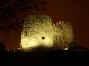 Dudley Zoological Gardens & Castle venue photo