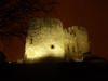 Dudley Zoological Gardens & Castle photo