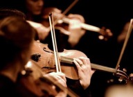 Sinfonia ViVA artist photo