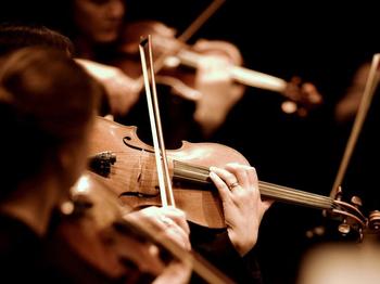 Sinfonia ViVA artist photo