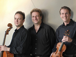 Vienna Piano Trio artist photo