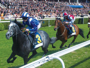 Chester Racecourse artist photo