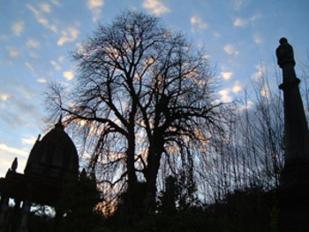 Arnos Vale Cemetery & Anglican Chapel venue photo