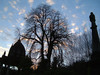 Arnos Vale Cemetery & Anglican Chapel photo