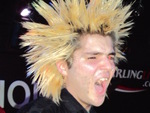 Blatoidea artist photo