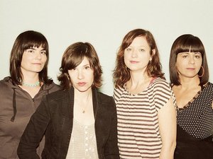 Wild Flag artist photo