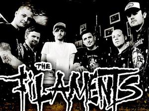 The Filaments artist photo