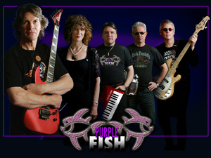 Purple Fish artist photo