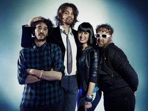 Guillemots artist photo
