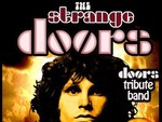 The Strange Doors artist photo