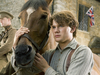 War Horse